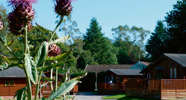 Eden Valley Holiday Park Cabins