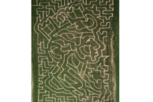 Lakeland Maze Aerial Image