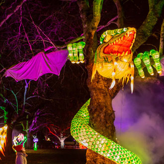 The jabberwocky at Alice In Winterland - Lightwater Valley