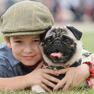 Pug and boy at the largest dogs festival