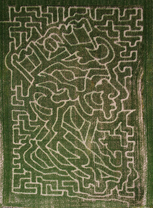 Day Out - Lakeland Maze Aerial Image - postage stamp-style image of the Queen’s head