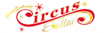Circus Sallai a brand new circus with a modern twist on traditional circus.